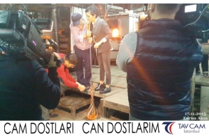 Evrim Akın