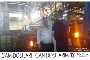 Ali Cevat Görür
