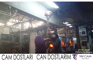 Gülçin Aydoğan