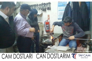 Gülçin Aydoğan