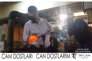 Ali Cevat Görür