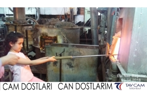 Ela Naz Bağcılar