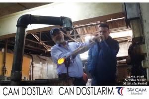 Neziha Nezir ve Mustafa Sertel