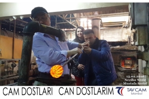 Neziha Nezir ve Mustafa Sertel
