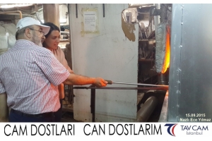 Nazlı Ece Yılmaz