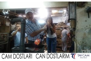 Cansu Öncel