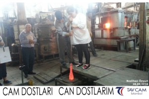Neslihan Özyurt