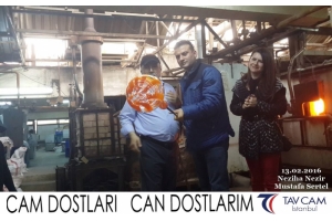 Neziha Nezir ve Mustafa Sertel