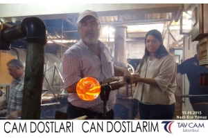 Nazlı Ece Yılmaz
