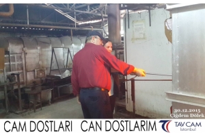 Çiğdem Dölek