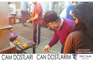 Gülçin Aydoğan