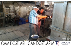 Gürkan Temur