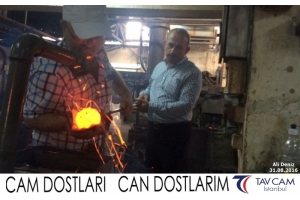 Ali Deniz