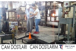 Nisa Başak Gülenç