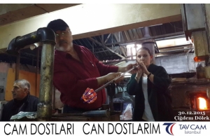 Çiğdem Dölek