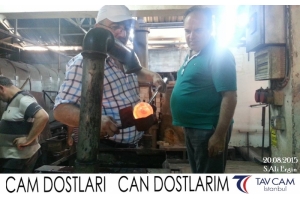 S.Ali Ergin