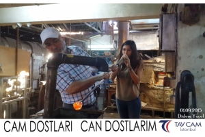 Didem Yücel