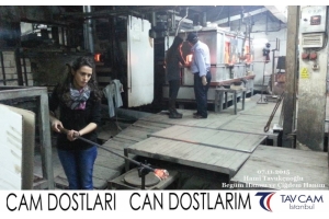 Hami Tavukçuoğlu ve Begüm, Çiğdem
