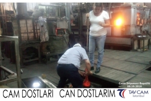 Canis Döşemeci Başsüllü