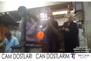 Mihriye Demirel ve Danış Demirel