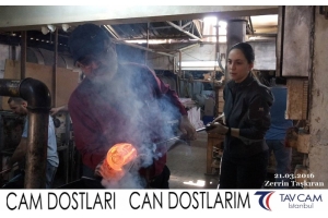 Zerrin Taşkıran
