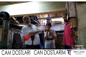 Kaburga Ailesi