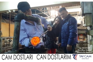 Neziha Nezir ve Mustafa Sertel