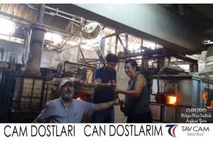 Bilge Nur Saltık ve Aykut Şen