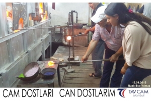 Nazlı Ece Yılmaz