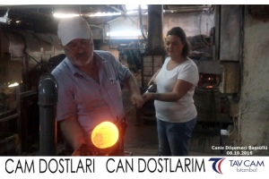 Canis Döşemeci Başsüllü