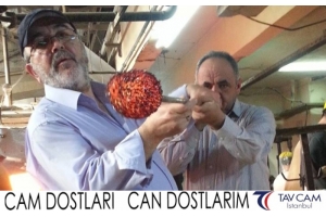 Ahmet Hasoğlu