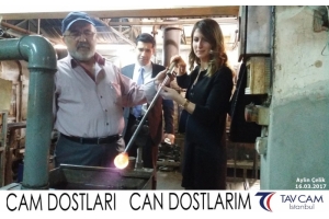 Aylin Çelik