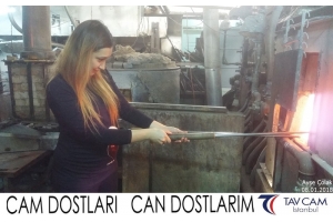Ayşe Çolak