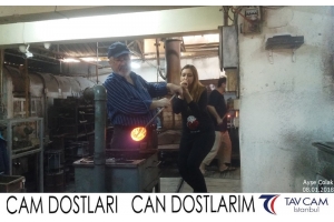 Ayşe Çolak