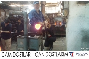 Ayşe Çolak