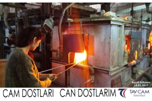 Aygül Gökmen