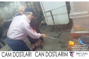 Mihriye Demirel ve Danış Demirel