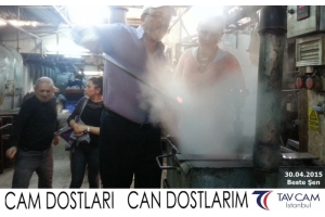 Beste Şen