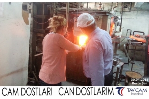 Beste Şen