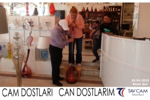 Beste Şen
