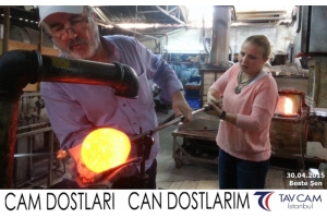 Beste Şen