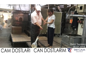 Betül Taşdelen
