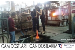 Ayşenur Senemoğlu ve Serpil Narin