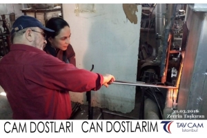 Zerrin Taşkıran