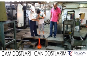Kaburga Ailesi