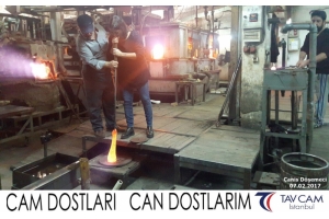 Canis Döşemeci