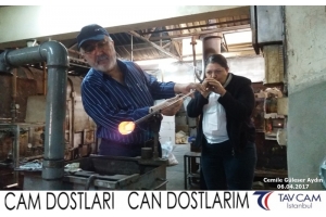 Cemile Güleser Aydın