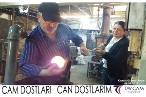 Cemile Güleser Aydın