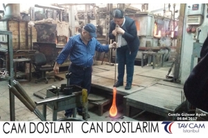 Cemile Güleser Aydın