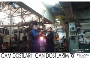 Cemile Güleser Aydın